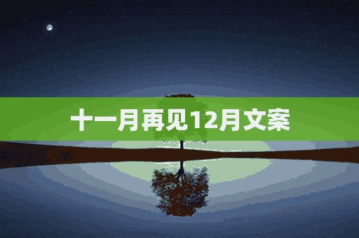 十一月再见12月文案